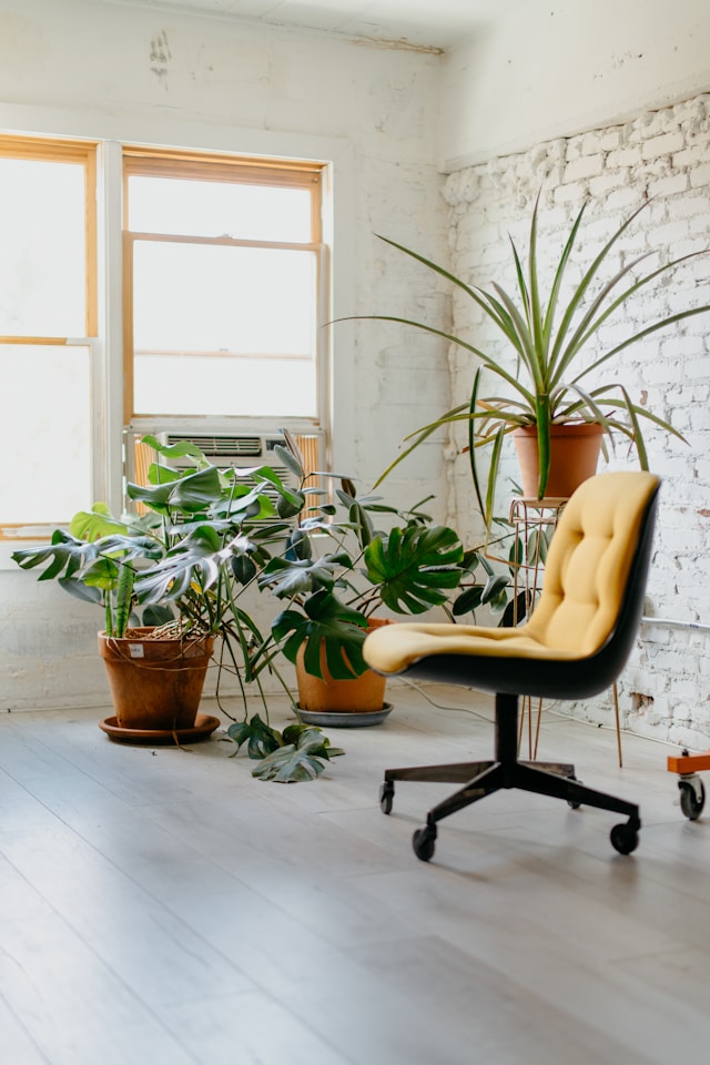 Wellness Destiny